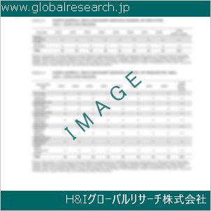 グローバルリサーチ調査資料のイメージ